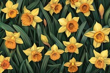 Illustrated Yellow Daffodil Flowers With Leaves Pattern On Black Background