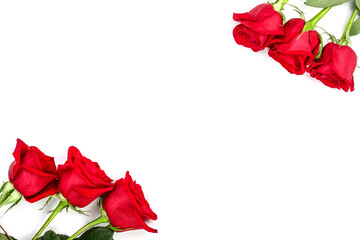 Wall Mural - beautiful red rose with leaves isolated on white background with copy space for your text. Top view. Flat lay pattern