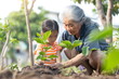 A chinese grandmother and granddaughter planting a tree