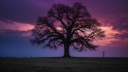 Wall Mural - evening in the hill  alone tree in the purple sky background