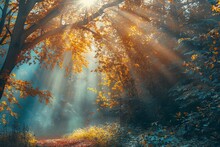 Autumn Forest Nature Vivid Morning In Col