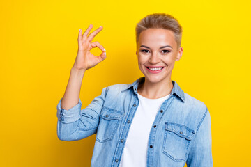 Wall Mural - Photo portrait of lovely young lady show okey gesture good quality dressed stylish denim garment isolated on yellow color background