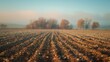 Selective blur on furrows on a Agricultural landscape near a farm, a plowed field in the countryside of Titelski, Serbia,