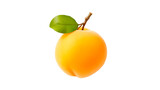 Isolated apricot fruit cut out. Peach fruit on transparent background
