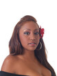 Portrait Attractive African American Woman With Red Flower
