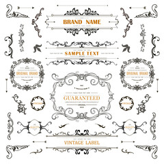 Wall Mural - set of vintage decorations flourishes elements.