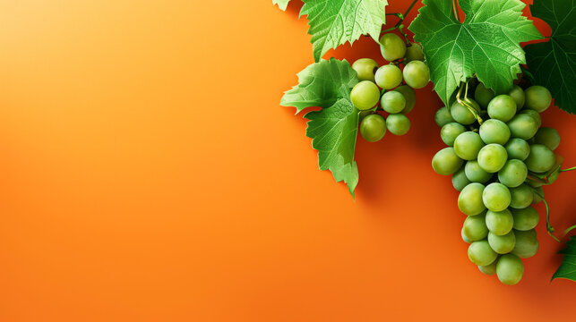A lush bunch of green grapes with leaves isolated on a vibrant orange background, suggesting freshness and organic produce.