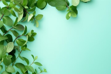 Wall Mural - Vibrant green leaves sprawl across a soothing teal backdrop with ample copy space