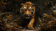 Tygrys, ilustracja