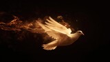 Fototapeta Londyn - Flying white dove with fire effect on dark background. Symbol of peace. Gifts of holy spirit concept	