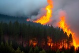 Fototapeta Zachód słońca - 激しい山火事、ブッシュファイヤーで炎と煙が森を焼く