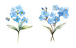 Blue forget-me-not flowers, watercolor clipart illustration with isolated background.