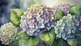 Fototapeta Kwiaty - Kolorowe, malowane kwiaty Hortensji. Akwarela, tapeta, dekoracja. Generative AI