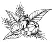 Mangosteen with palm leaves and flowers. Vector hand drawn illustration of exotic tropical Fruit painted by black inks. Drawing of asian food with garcinia and juicy slices. Sketch of mangostana.