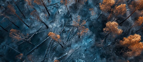 Poster - An aerial perspective of a forest showcasing terrestrial plants covered in smoke, with electric blue patterns peeking through. The wildlife, soil, rocks, and grass are engulfed in darkness.