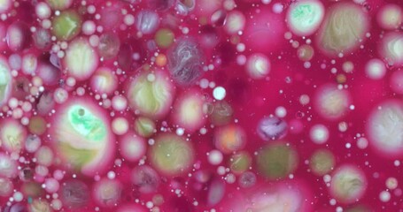 Wall Mural - slow motion macro of floating micro particles molecules in liquid are analyzed with microscope by ch