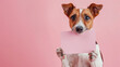 on a pink background there is a cute dog holding a pink card in his paws