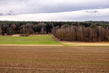 Wall Mural - Frühlingshafte Wanderung entlang der Ilm bei Bad Berka bei herrlichen Sonnenschein - Thüringen - Deutschland