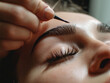 Close-up of carefully shaped and tinted eyebrows with a brush.