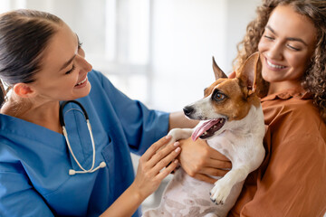 happy dog examining with female vet during clinic visit