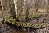 Fototapeta  - Drewniana kładka mostek na leśnym strumieniu