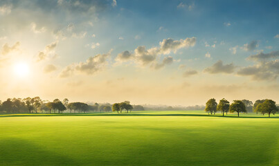 Wall Mural - wide lawn trimmed with precision under a blue sunny sky