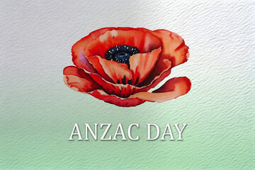 Wall Mural - The remembrance poppy. Watercolor poppy flower on green background with text. Flower for Anzac Day in New Zealand, Australia, Canada and Great Britain.