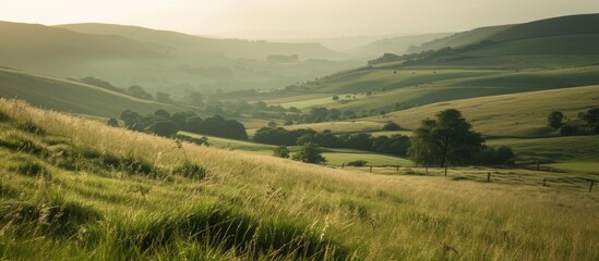 Wall Mural - Serene Landscape Nature Scene with Green Grassy Hill in Countryside