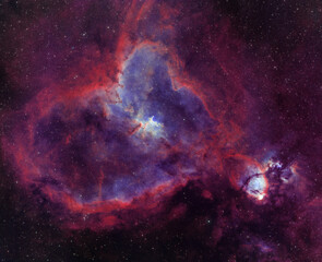 Wall Mural - IC1805 Heart Nebula