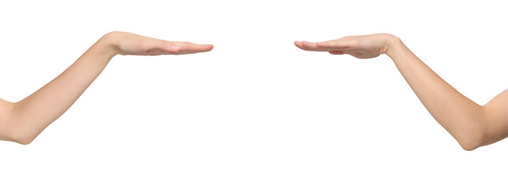 Wall Mural - Two sides of female arm bent at the elbow with the palm facing down, as a sign of measuring height, isolated on transparent background, png file