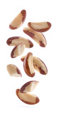 Fototapeta Lawenda - Brazil nuts flying on white background