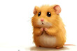 Lustiger Cartoon-Hamster: Niedliche Illustration eines fröhlichen Hamsters für Kinderbücher