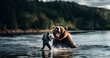 male photographer traveler photographs an angry bear on the river.
