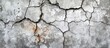 A closeup of a cracked grey concrete wall, revealing a pattern of rectangular bricks. The building material contrasts with the soil and road surface