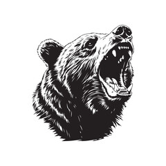 Wall Mural - Black and white hand drawing bear head. Illustration vector.