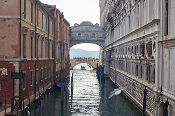 Rio di Palazzo canal, Ponte dei Sospiri bridge and Ponte della Paglia bridge in the background in Venice	