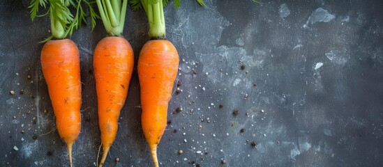 Wall Mural - Three carrots, a type of vegetable and root vegetable, are placed on a black surface, showcasing their natural food ingredient qualities