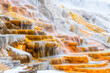 A cascade of colorful hot springs cascades down a terraced mountainside.