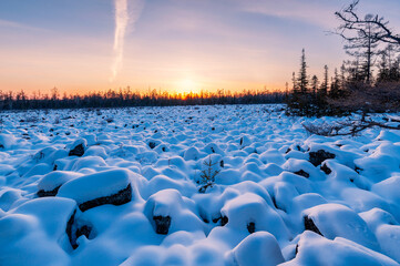 Wall Mural - Snow view in Red Star Geopark, Yichun City, Heilongjiang province, China.