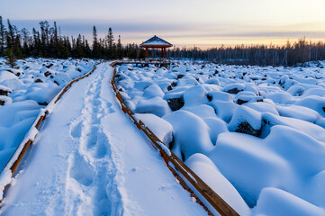 Wall Mural - Snow view in Red Star Geopark, Yichun City, Heilongjiang province, China.