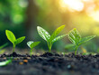© Mind - Growth hacking techniques for fast paced online business expansion