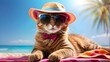 A cool cat lounging on a beach towel, sporting a pair of stylish sunglasses and a colorful beach hat, with a transparent background that lets the sunny rays shine through.