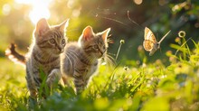 Two Kittens Playing With Butterflies On Green Grass In Nature.