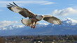eagle in flight HD 8K wallpaper Stock Photographic Image