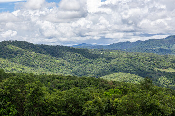 Wall Mural - View of the forest from the top of the mountain, Thailand.