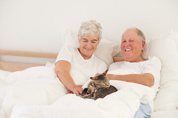 Canvas Print - Senior couple, bed and cat for smile, embrace and love in morning for bonding and cuddle. Mature man, woman and kitty pet, happy and retirement to enjoy marriage and old people in bedroom at home