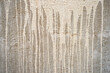 Close up of cement water stains from construction on the cement wall
