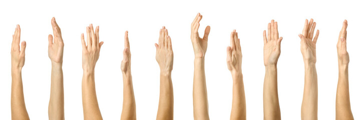 Wall Mural - Raised hand. Multiple images set of female caucasian hand with french manicure showing Raised hand gesture