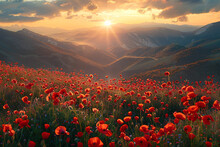 Sunrise Over Mountains Covered With Red Flowers And Poppies