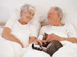 Canvas Print - Mature couple, bed and cat for bonding, embrace and love in morning for smile and cuddle. Senior man, woman and kitty pet, happy and retirement to enjoy marriage and old people in bedroom at home